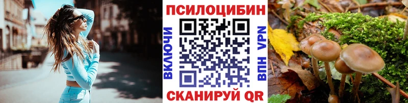 Галлюциногенные грибы прущие грибы KRAKEN ссылки Чегем