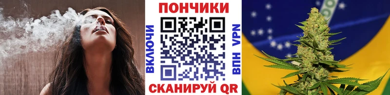 Бошки марихуана индика  купить наркотик  Чегем 